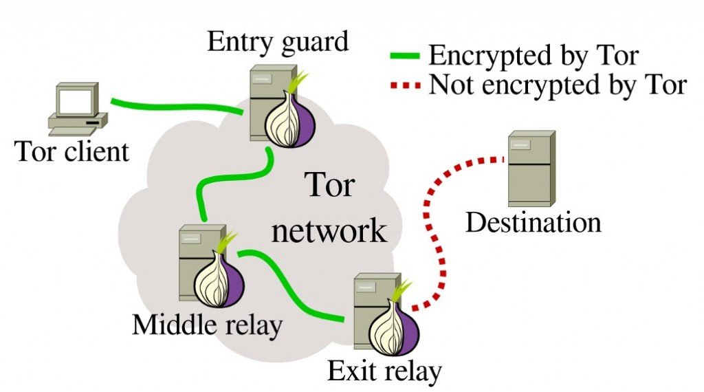 Funzionamento della rete Tor