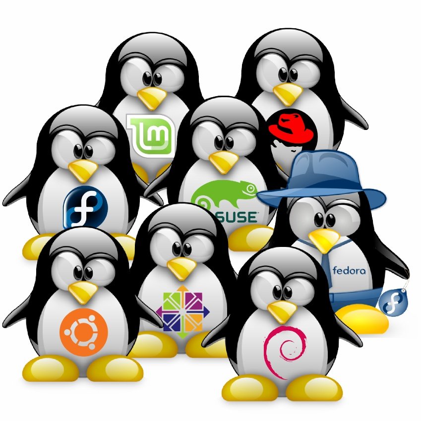 Distribuzioni di Linux