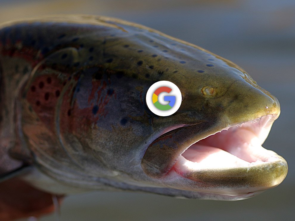 google pixel 2 taimen