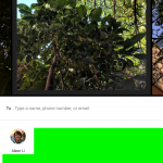 google-foto-aggiornamento-menu-condivisione-02
